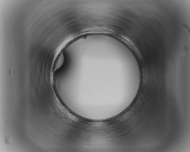 X0000102511188200808081000