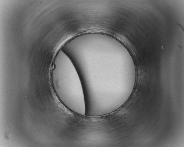 X0000102511190200808081000