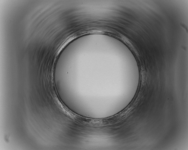 X0000102511194200808081000