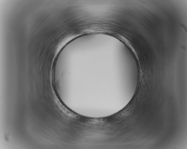 X0000102511195200808081000