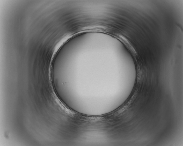 X0000102511196200808081000