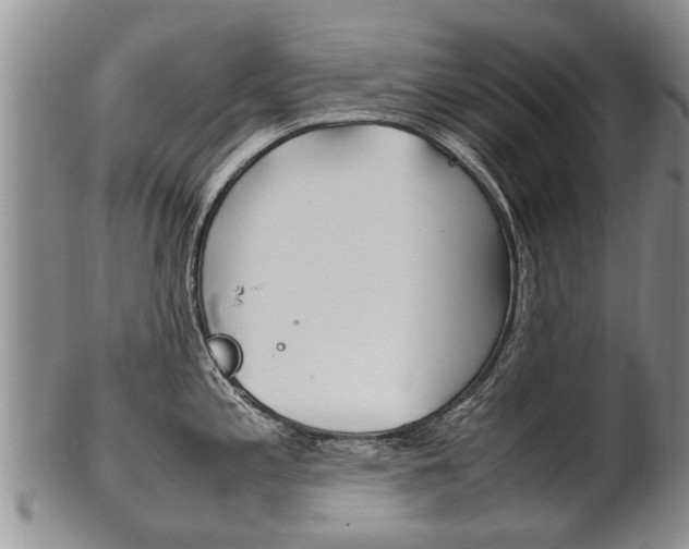 X0000102511197200808081000