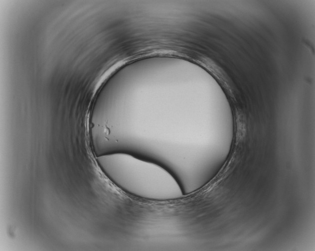 X0000102511198200808081000