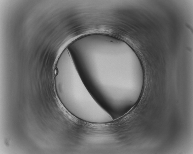 X0000102511200200808081000