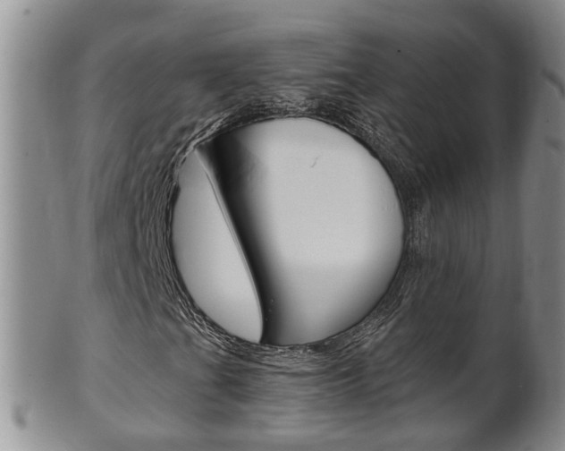 X0000102511201200808080959