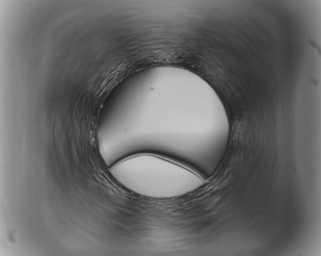 X0000102511202200808080959