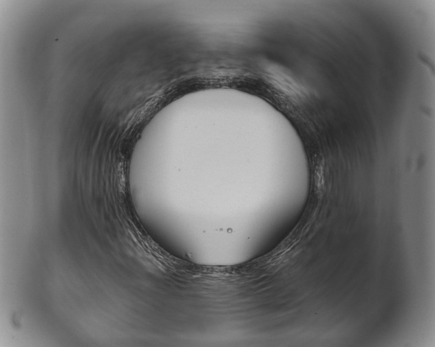X0000102511204200808080959