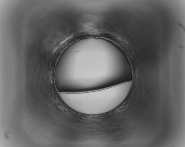 X0000102511205200808080959