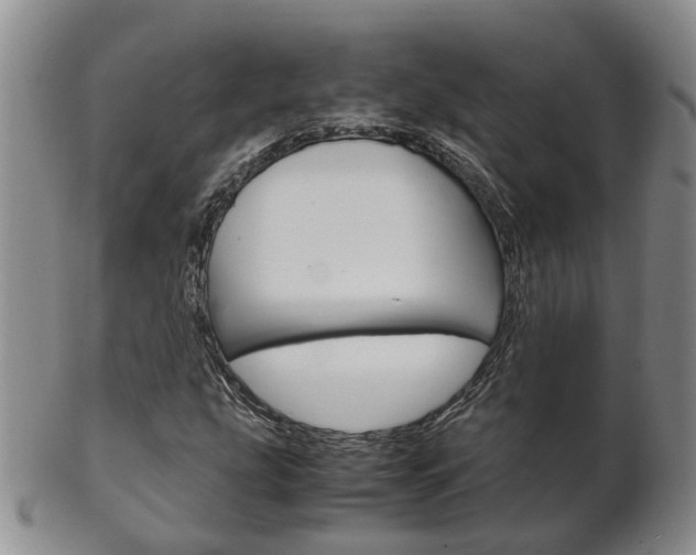 X0000102511207200808080959