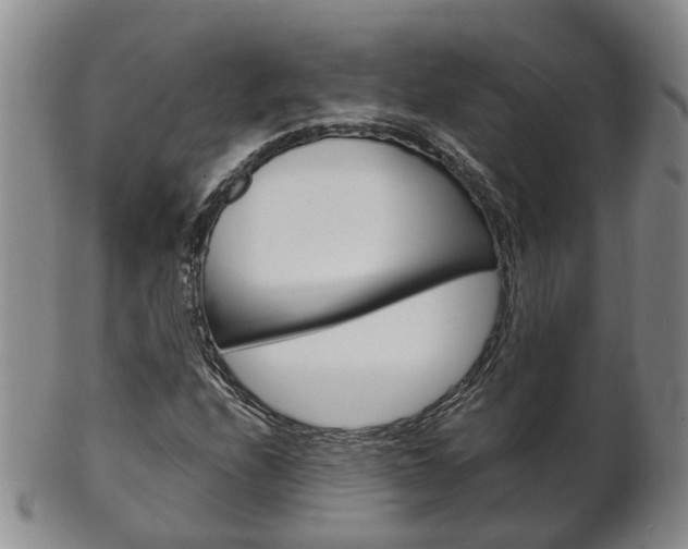 X0000102511208200808080959