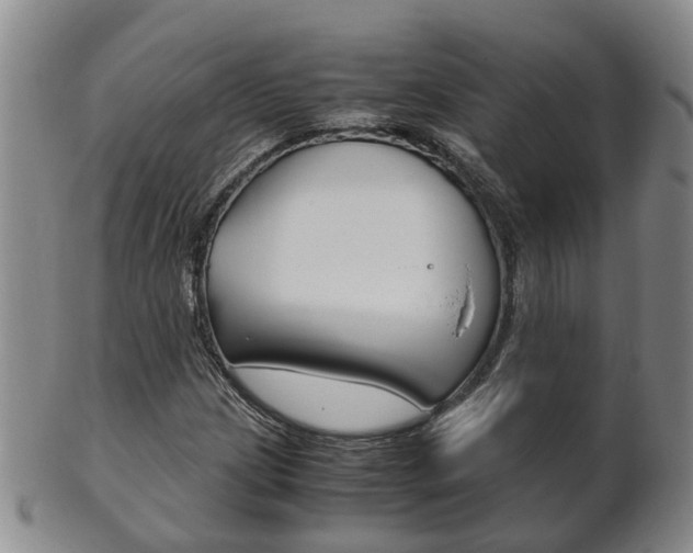 X0000102511209200808080959