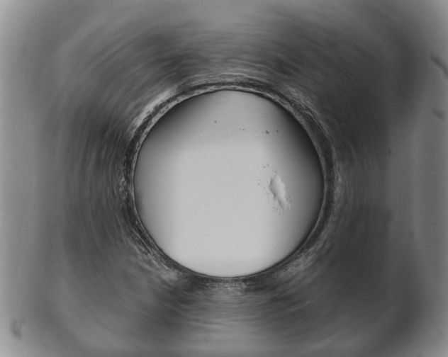 X0000102511210200808080959
