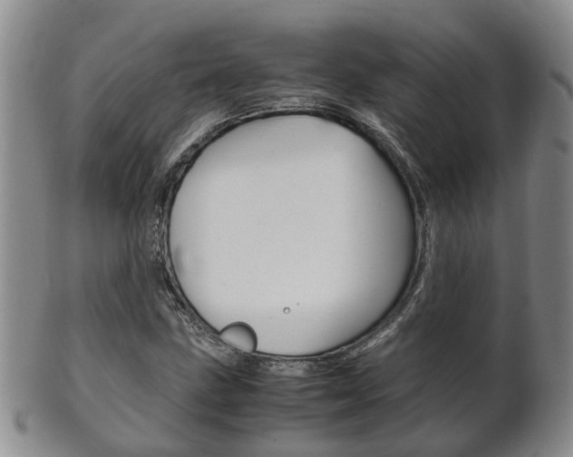 X0000102511211200808080959