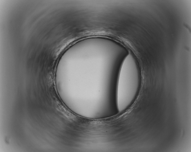 X0000102511212200808080959