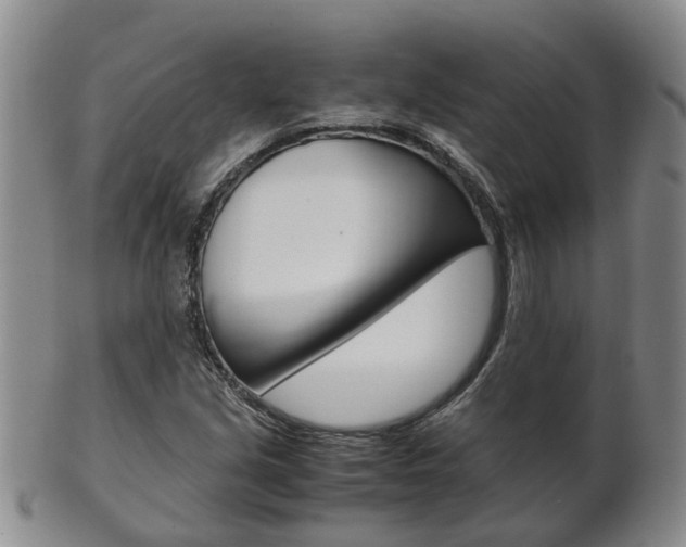 X0000102511213200808080959