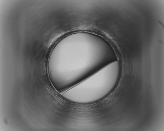 X0000102511214200808080959