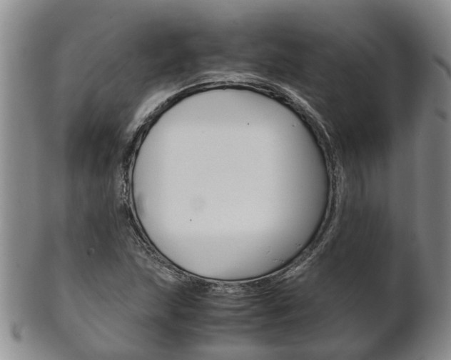 X0000102511215200808080959