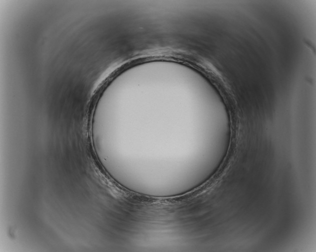 X0000102511216200808080959