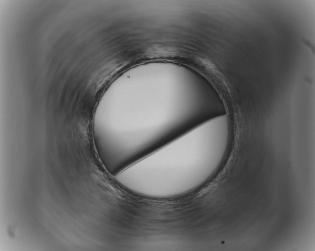 X0000102511217200808080959