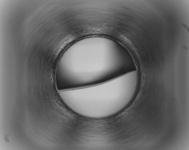 X0000102511218200808080959