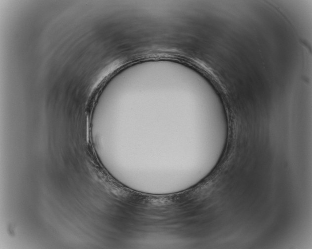 X0000102511219200808080959