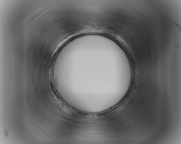 X0000102511220200808080959