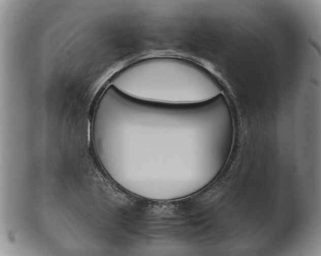 X0000102511221200808080959