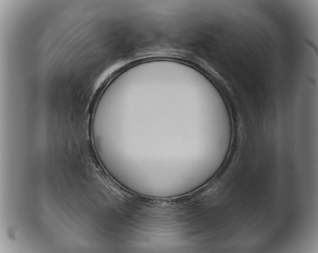 X0000102511222200808080959