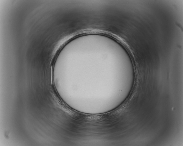 X0000102511223200808080959
