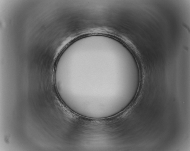 X0000102511224200808080959