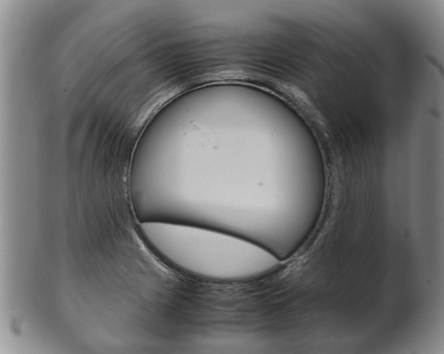 X0000102511225200808080959