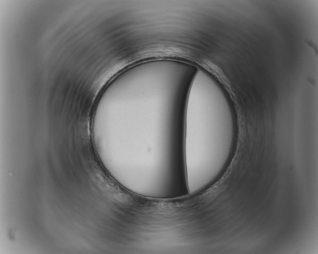X0000102511226200808080959