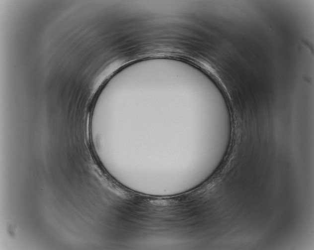 X0000102511227200808080959