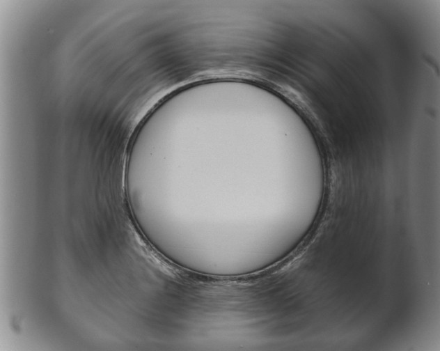 X0000102511228200808080959