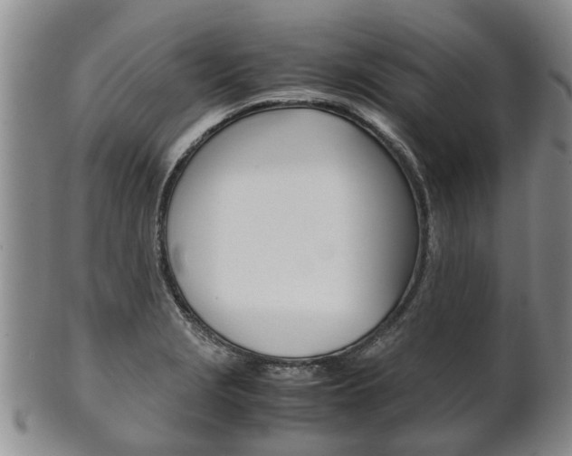 X0000102511229200808080959