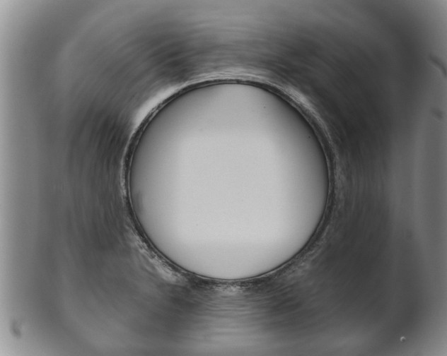 X0000102511230200808081000