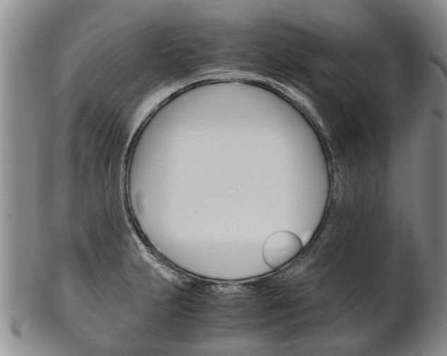 X0000102511231200808081000