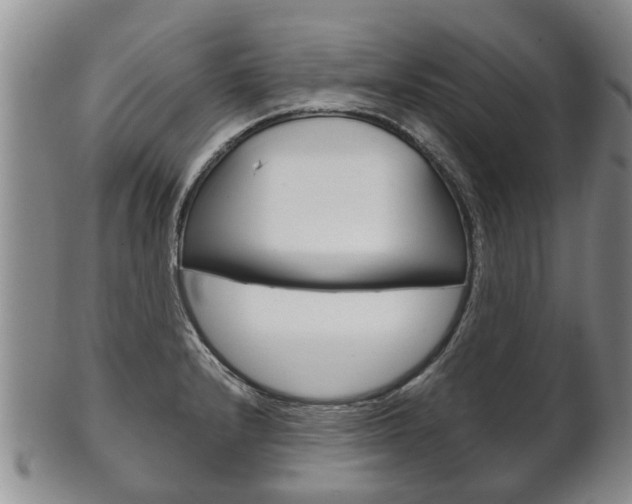 X0000102511232200808081000