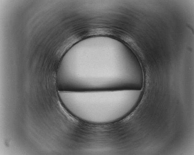 X0000102511233200808081000