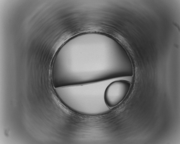 X0000102511234200808081000