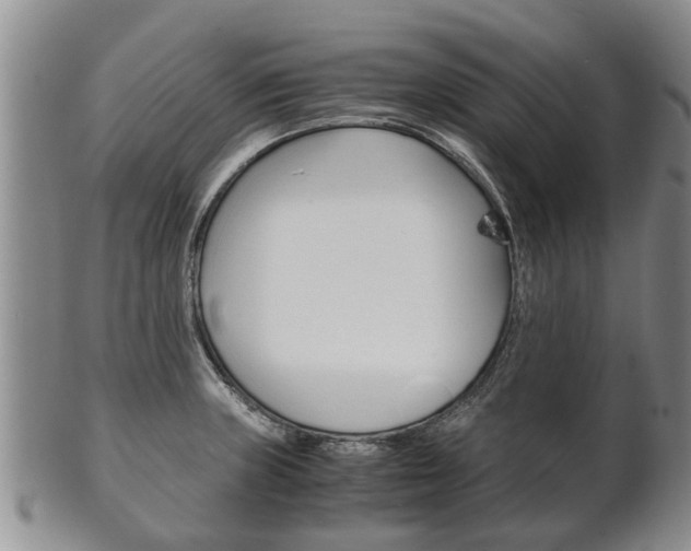 X0000102511235200808081000