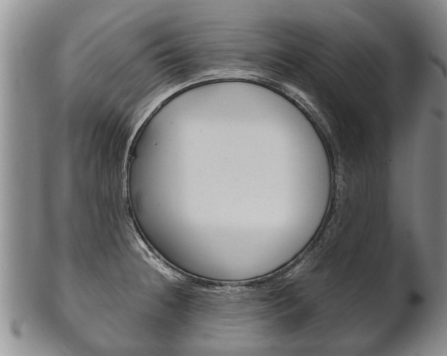 X0000102511236200808081000