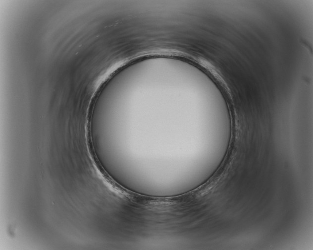 X0000102511237200808081000