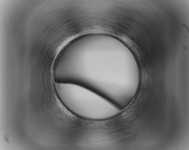 X0000102511238200808081000