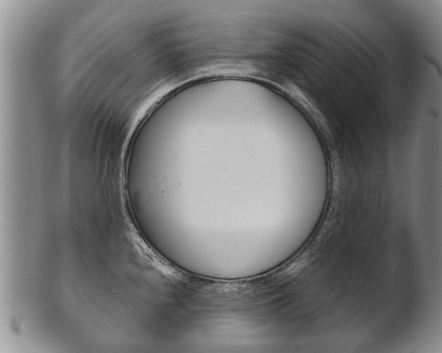 X0000102511240200808081000