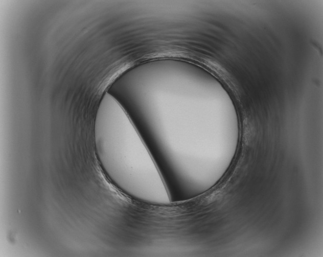 X0000102511241200808081000