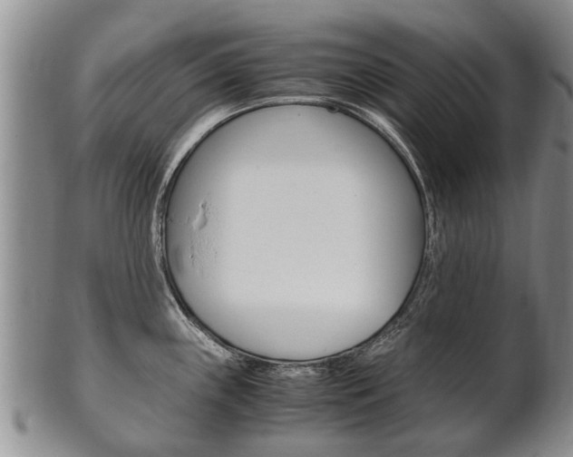 X0000102511243200808081000