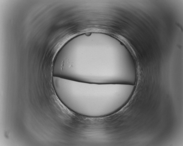 X0000102511244200808081000