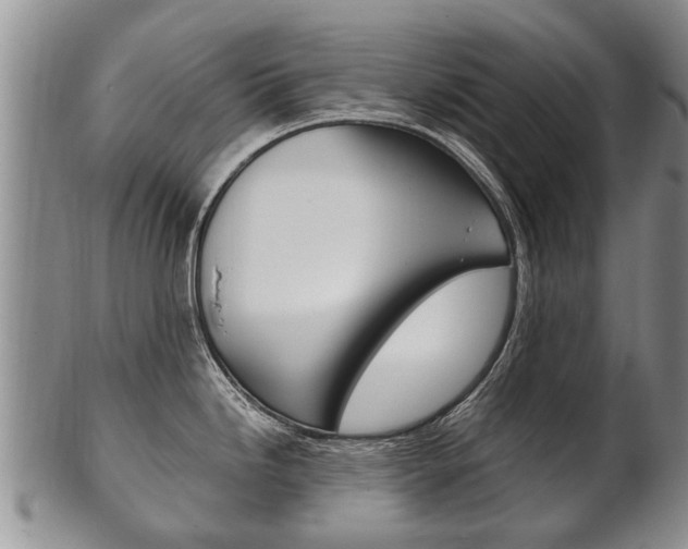 X0000102511246200808081000