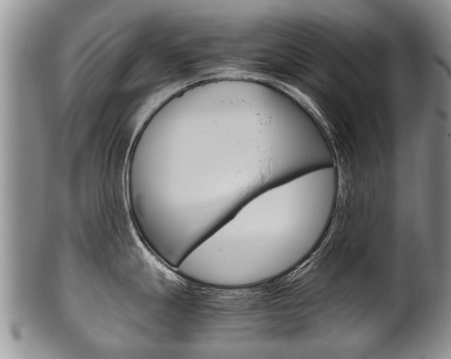 X0000102511247200808081000